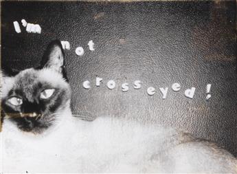 (SIAMESE CATS) An album with approximately 132 obsessive photographs depicting the owners feline friends in various poses and activiti